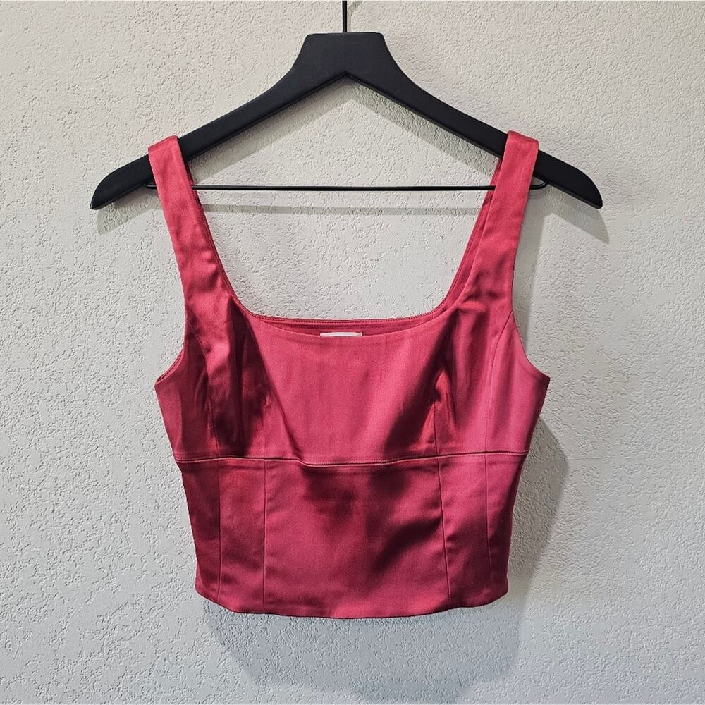 Aritzia Wilfred Shine Bustier In Rosy Red